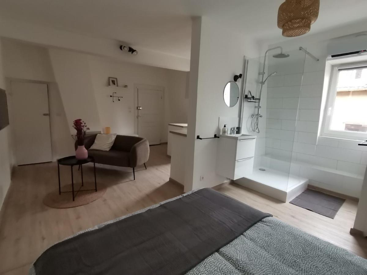Apartmán Toi Mon Toit Colmar Exteriér fotografie
